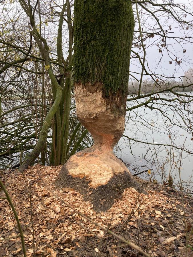 B&B Huize Placida Boxmeer Luaran gambar